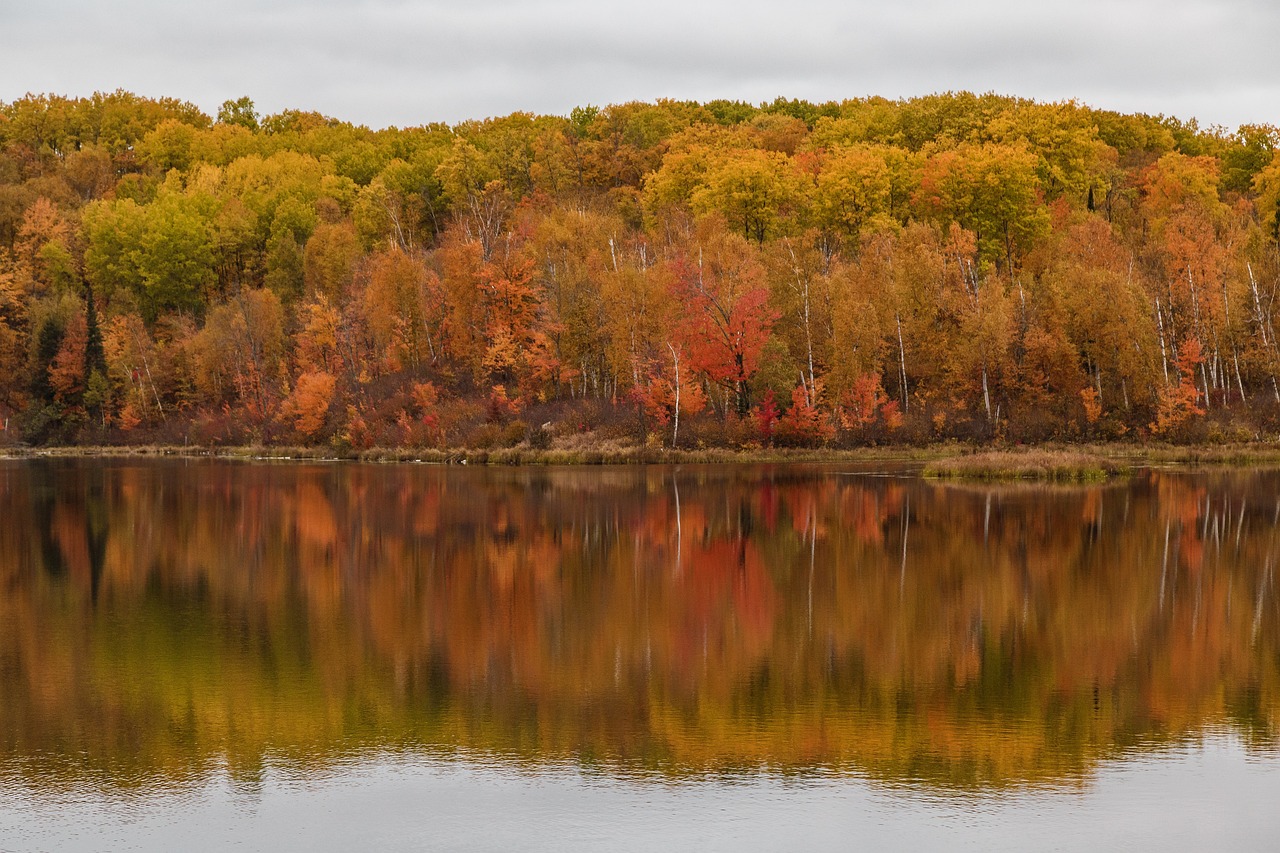 Minnesota