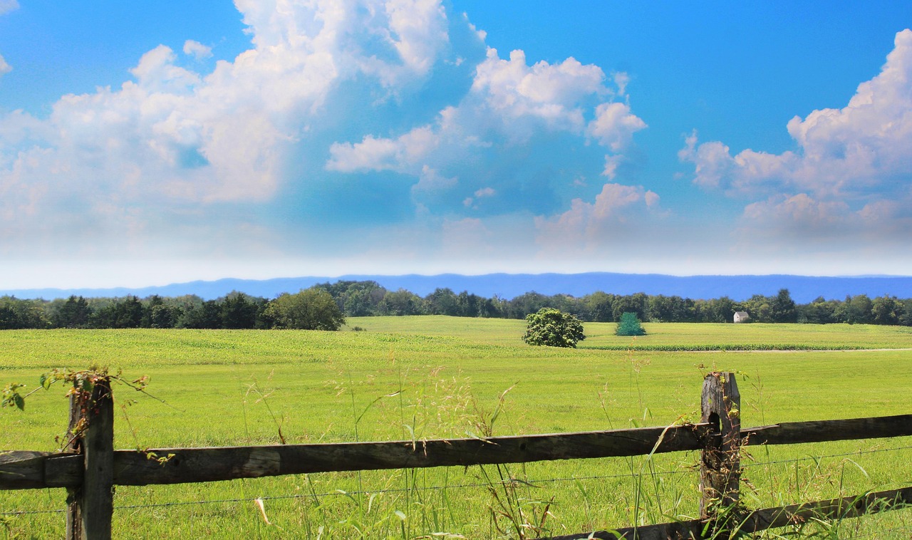 Virginia