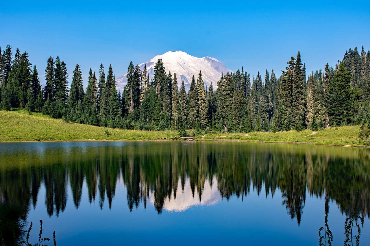 Washington